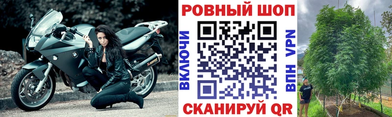 Какие есть наркотики Ладушкин МДМА Вейп ТГК Каннабис ссылка на мегу tor ГАШ Альфа ПВП